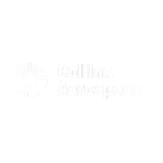 Monday - Collins Aerospace - Inco Soluciones
